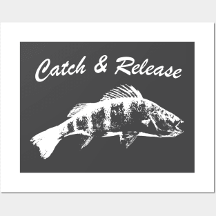 Catch and Release Series, Perch, White color Posters and Art